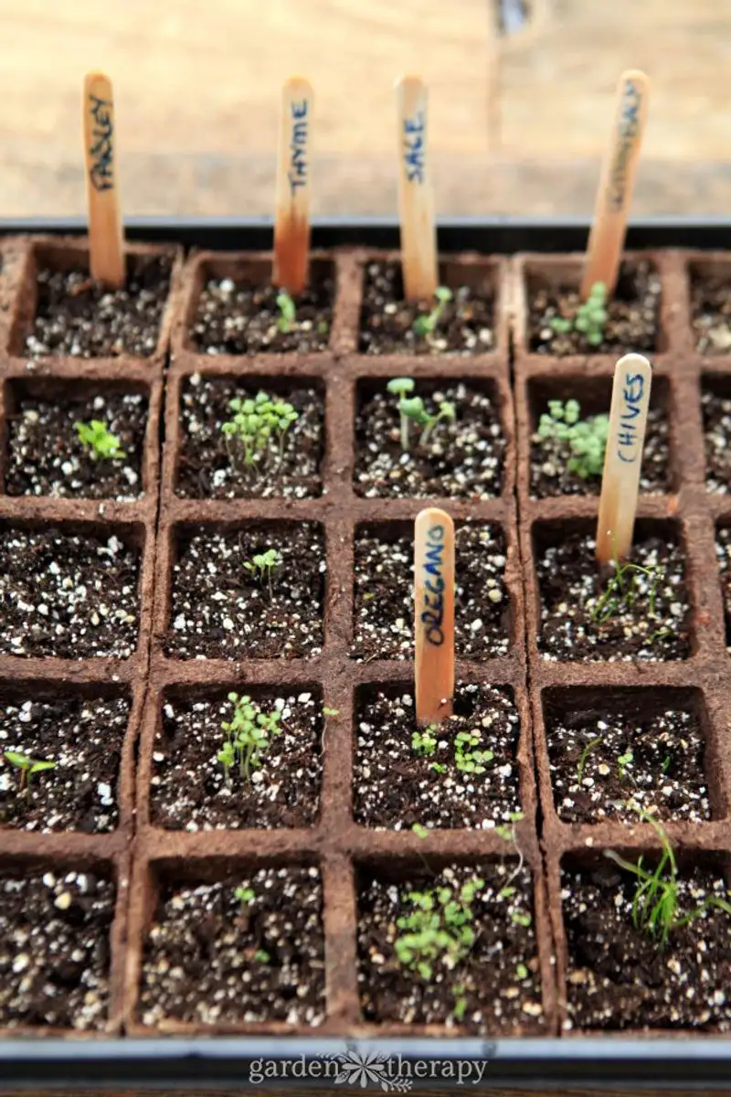 The Unexpected Soil Booster