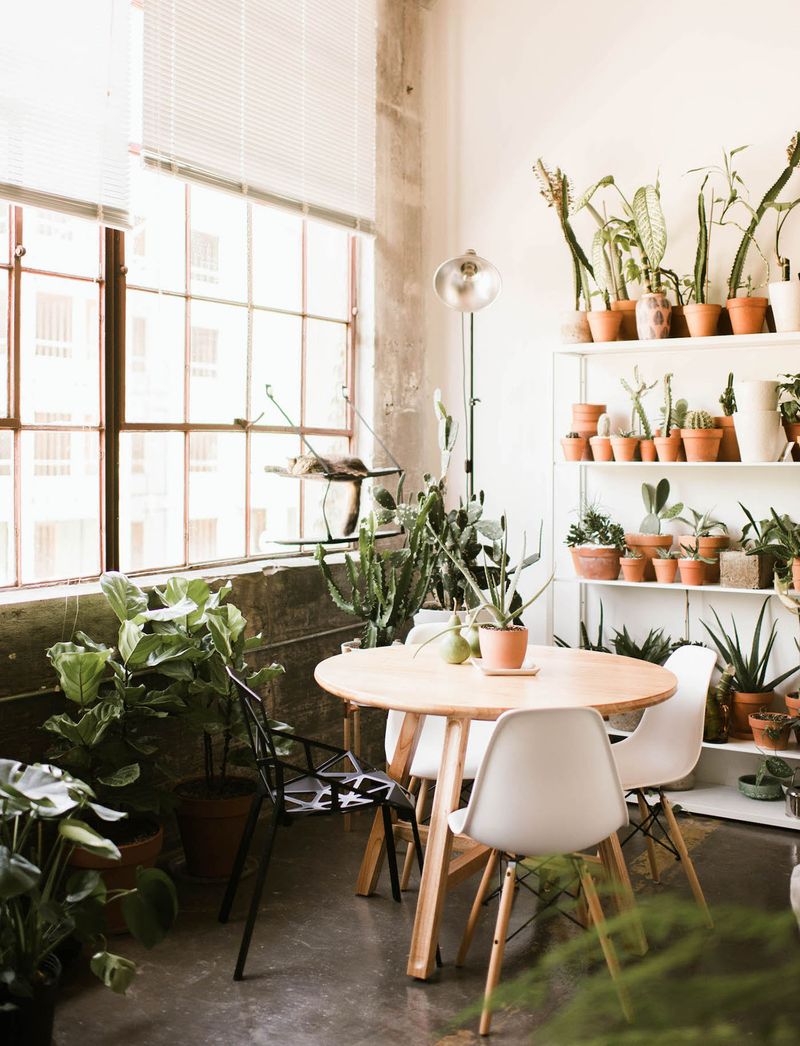 The Urban Jungle Workspace