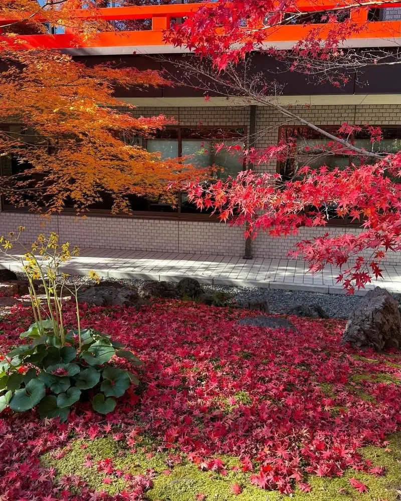 The Whisper of Color Changes