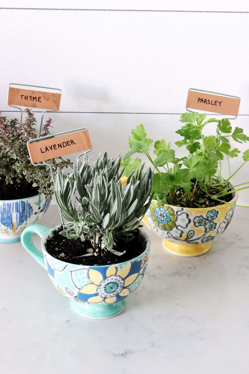 Thyme