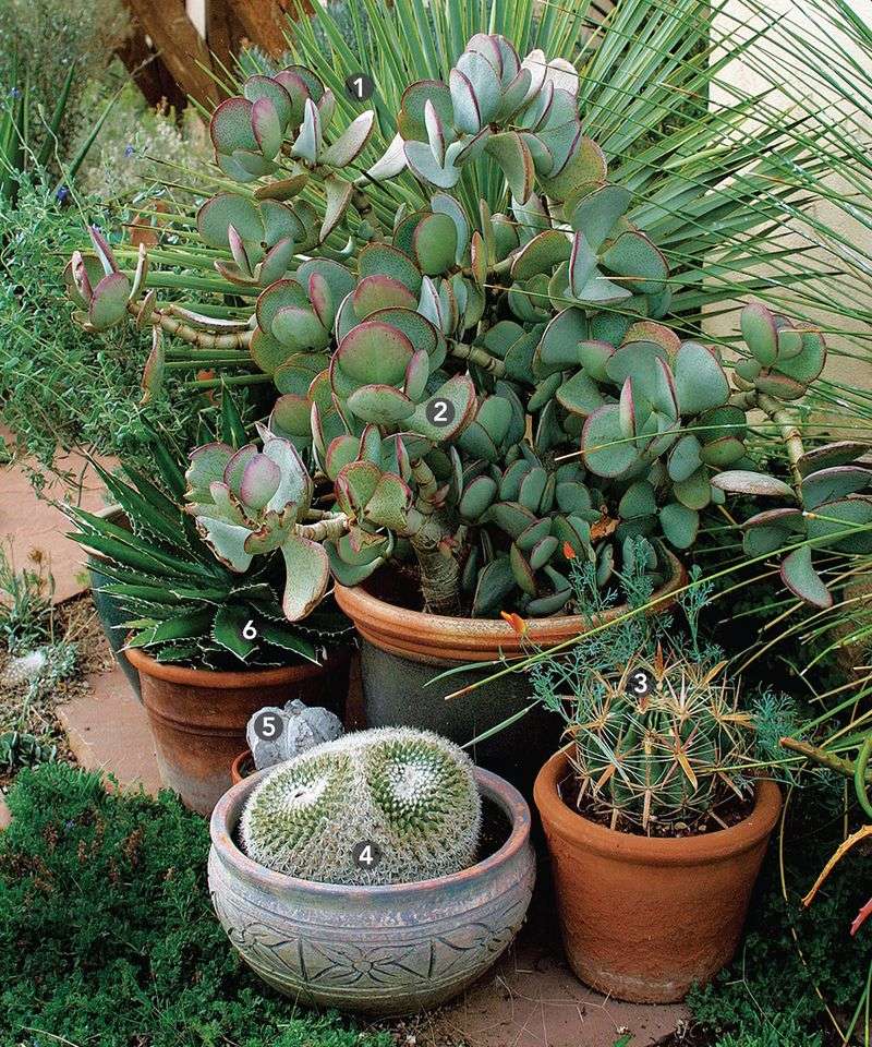 Tight Container Clusters