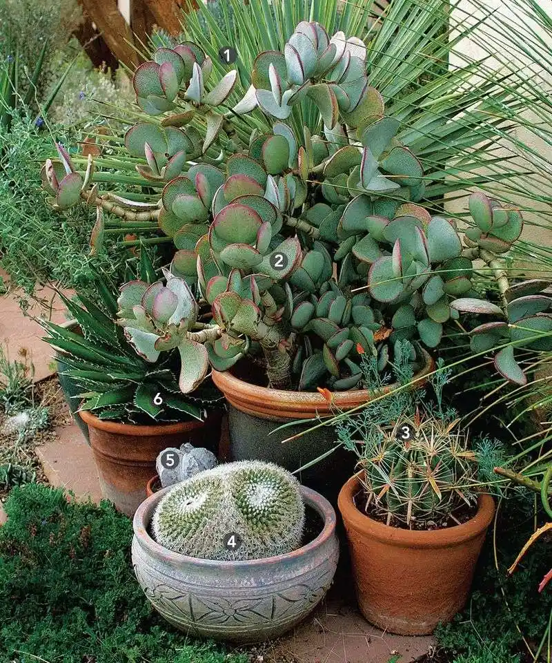 Tight Container Clusters