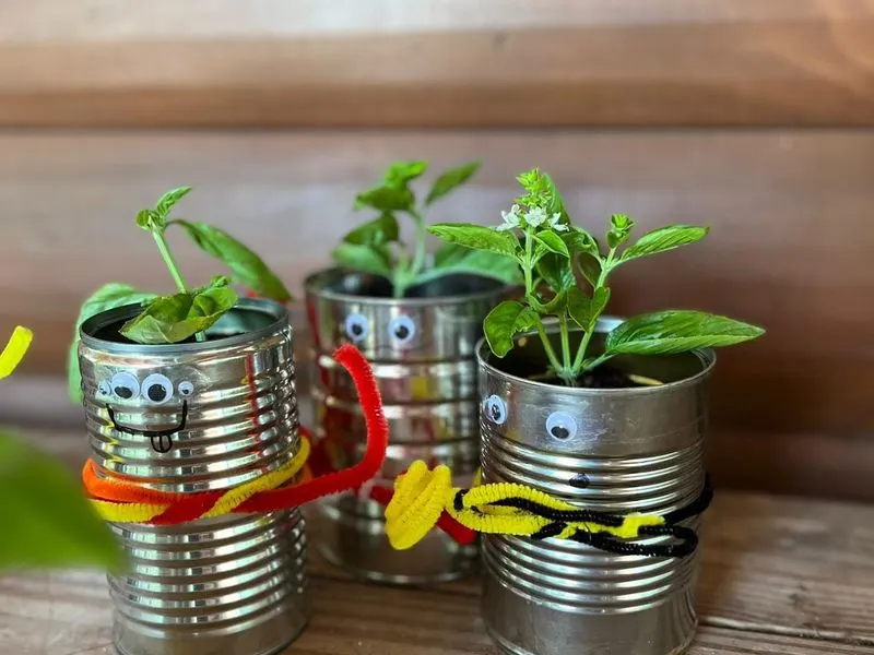 Tin Can Herb Garden