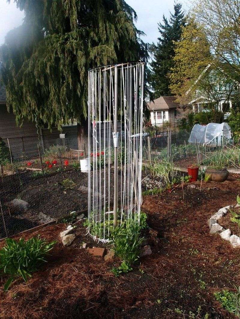Tire Rim Trellis