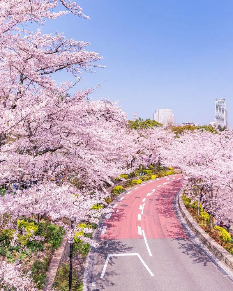 Tokyo, Japan