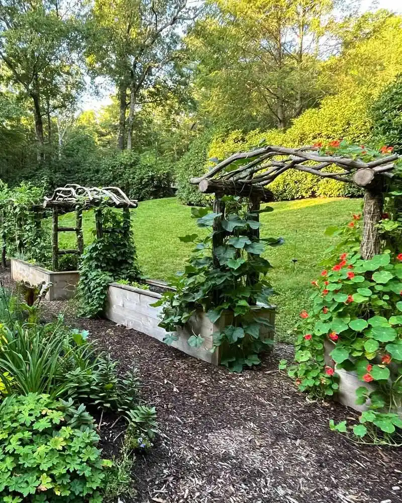Trellis Gardens