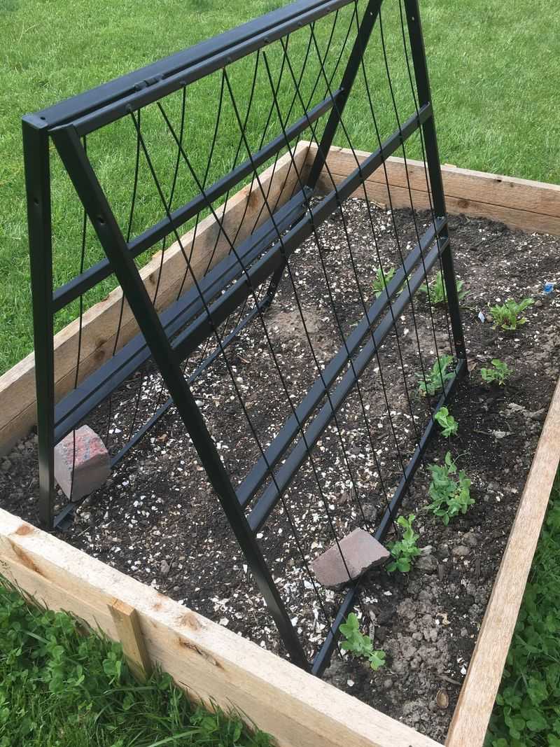 Trellis from Bed Frames