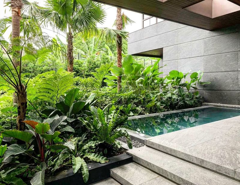 Tropical Balcony Garden