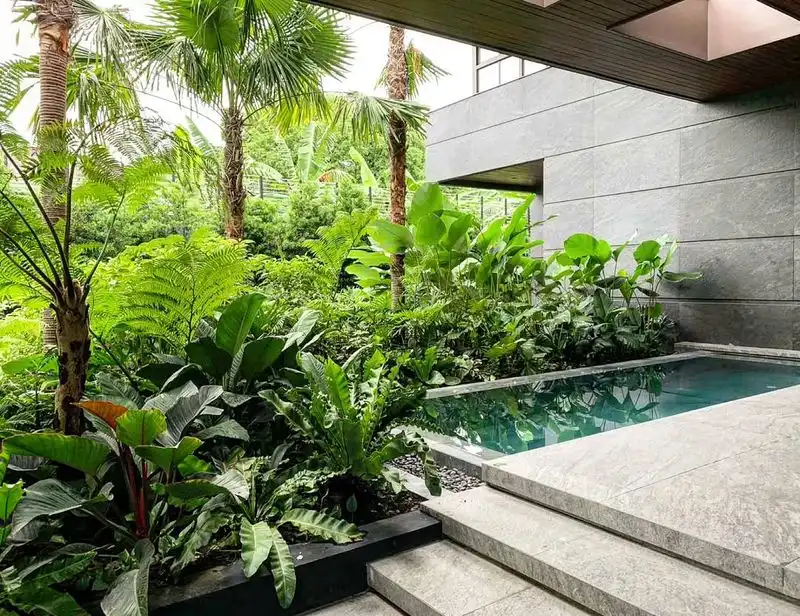 Tropical Balcony Garden