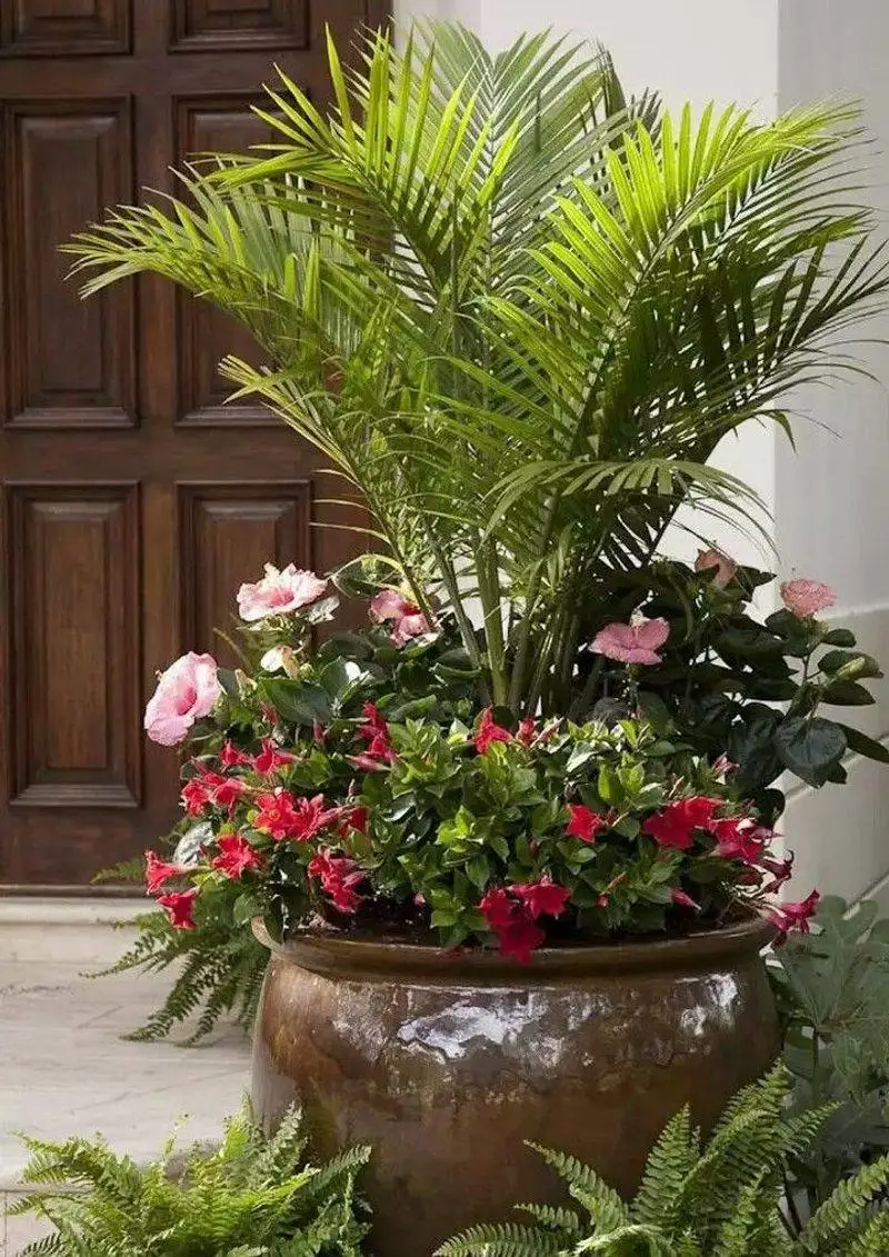 Tropical Oasis