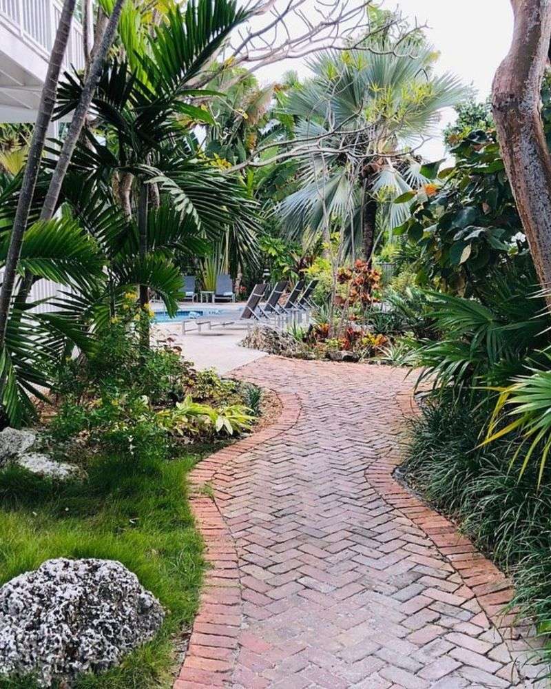 Tropical Paradise Corner