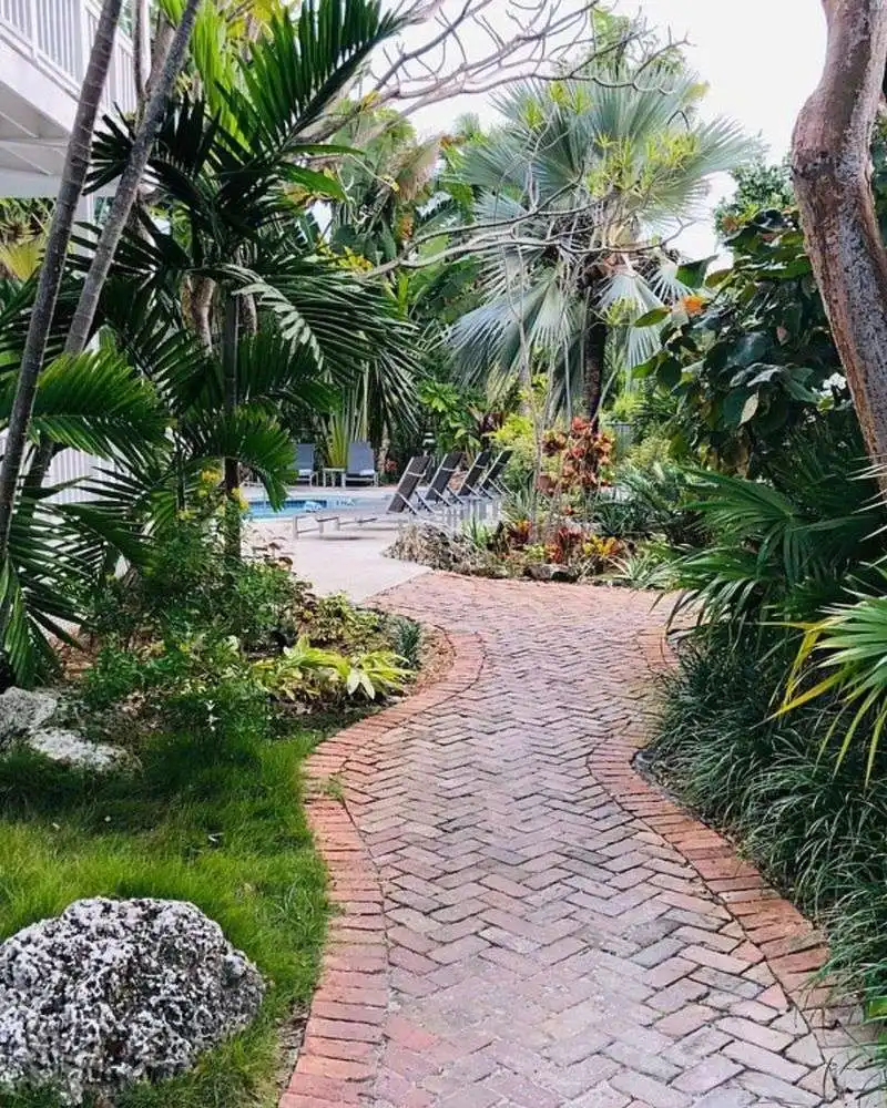 Tropical Paradise Corner