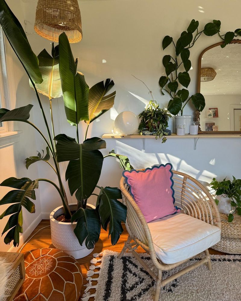 Tropical Paradise Corner