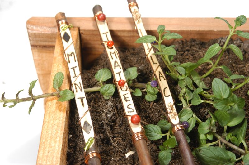 Twig Slices