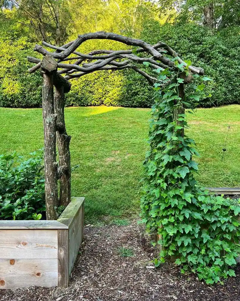 Twig Trellis