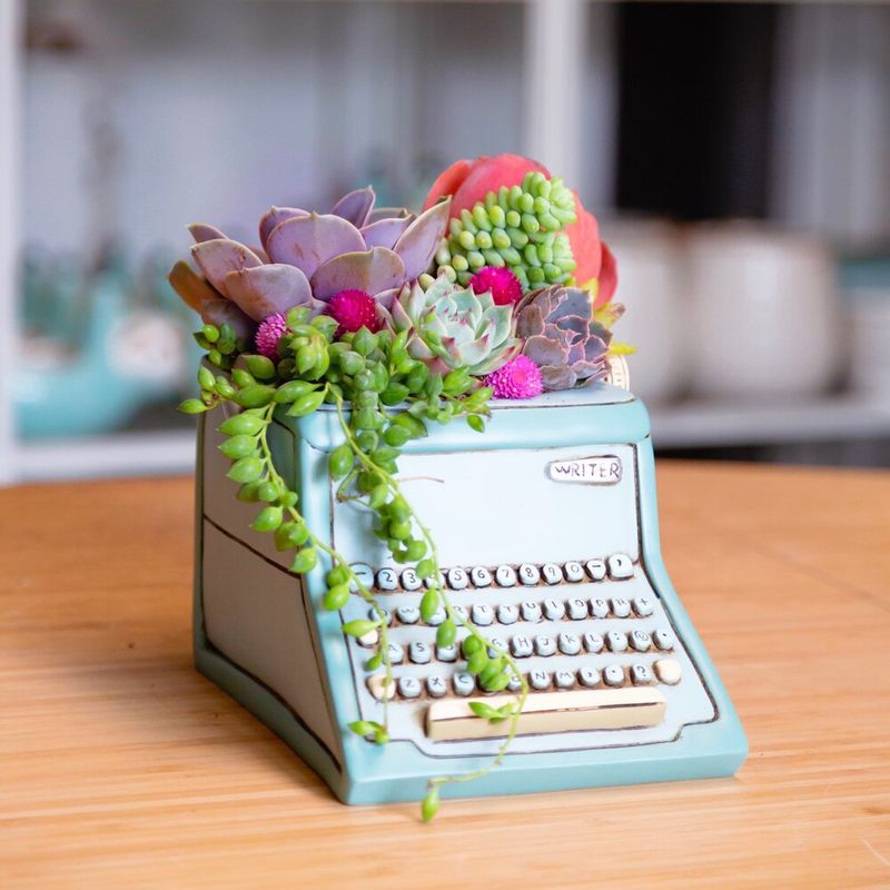 Typewriter Succulent Planter