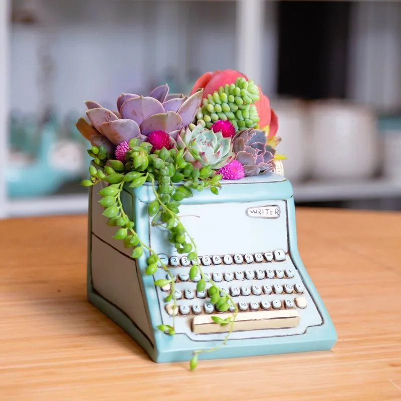 Typewriter Succulent Planter