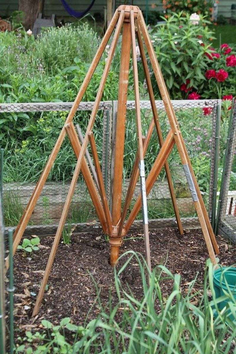 Umbrella Frame Trellis