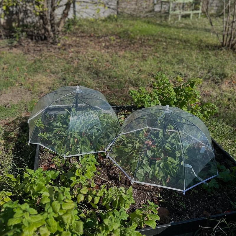 Umbrella Greenhouse
