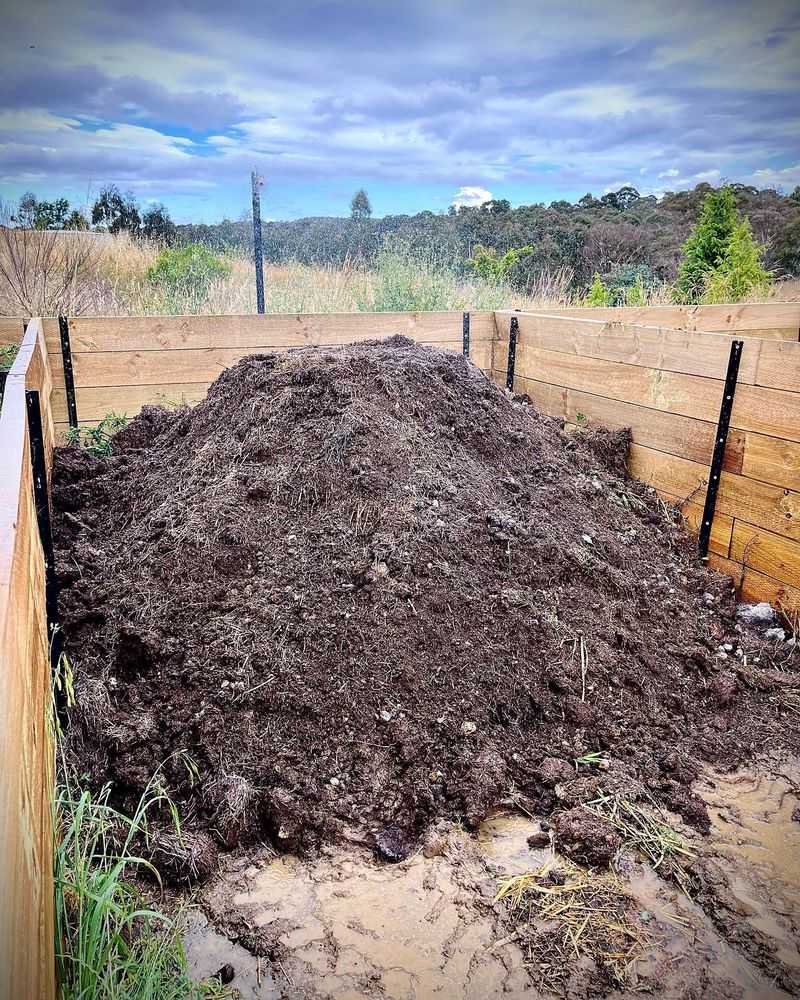 Uncomposted Manure