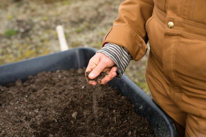 Understanding Soil Composition