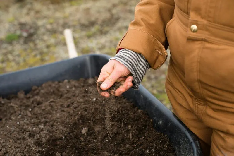 Understanding Soil Composition