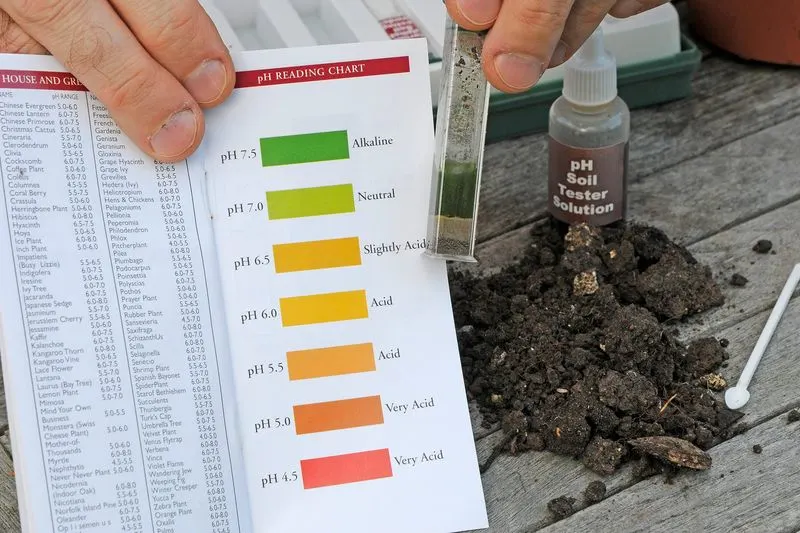 Understanding Soil pH