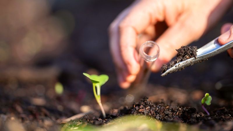 Soil Testing