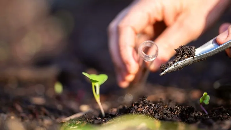 Soil Testing