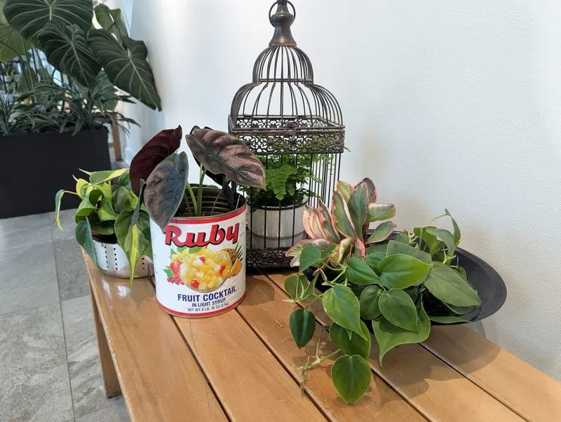 Upcycled Planters