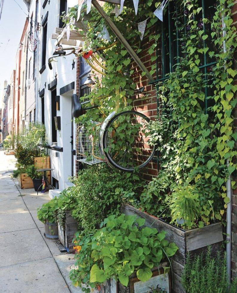 Urban Alleyways