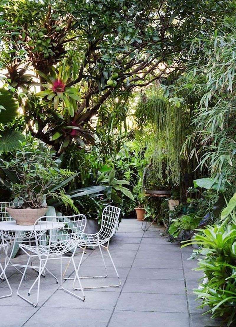 Urban Jungle