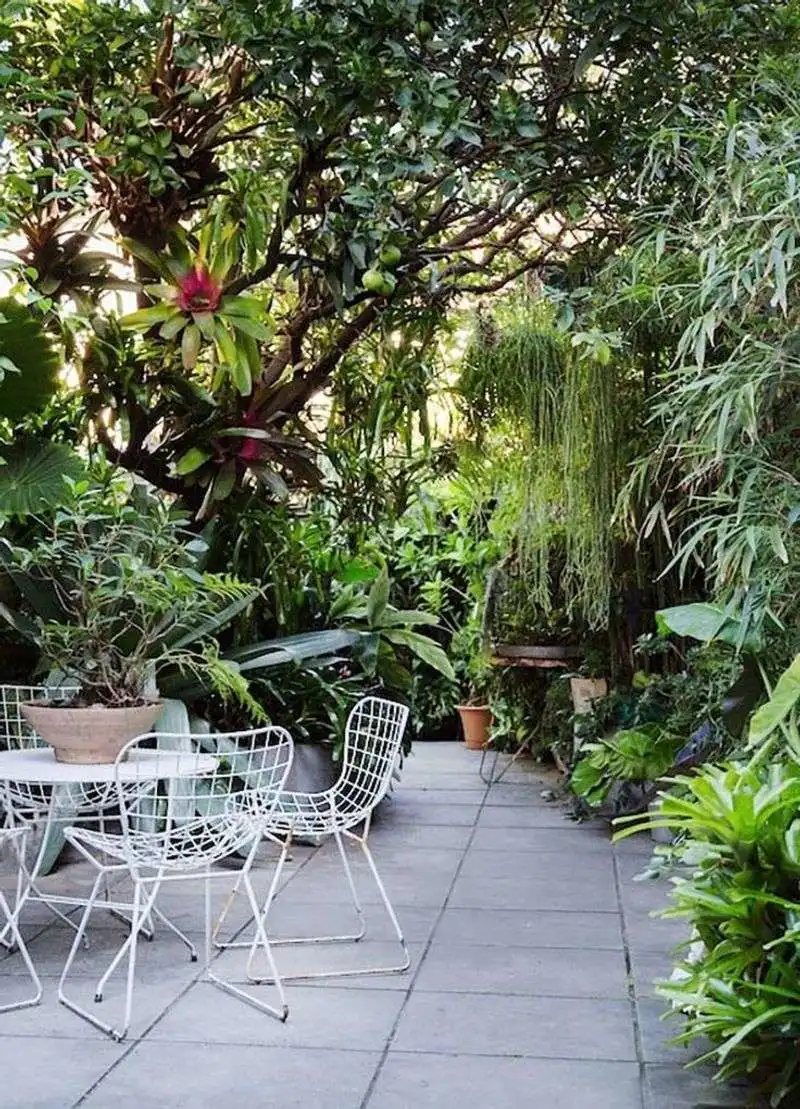 Urban Jungle