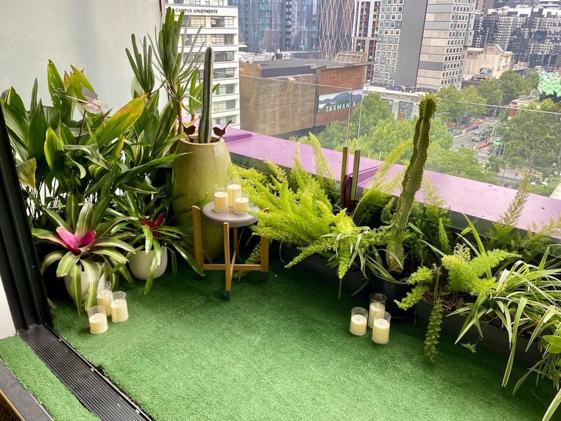 Urban Jungle