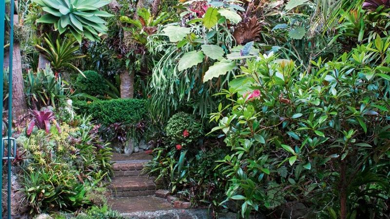 Urban Jungle