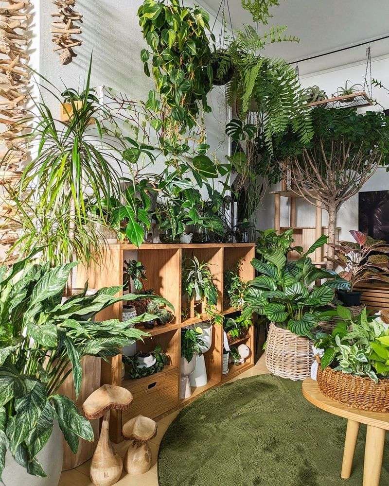 Urban Jungle Retreat