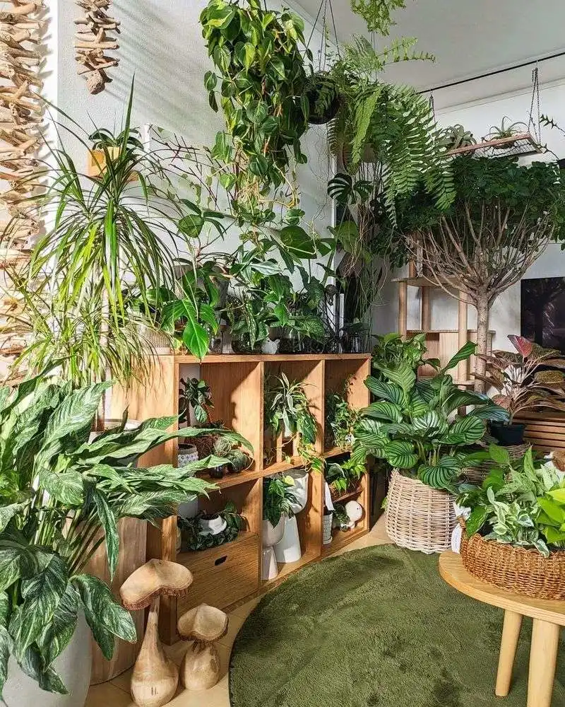 Urban Jungle Retreat