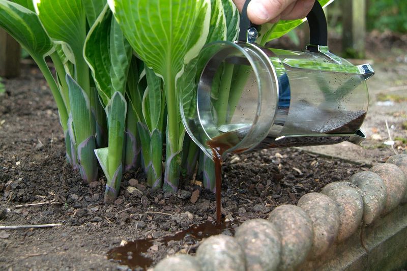 Use Coffee Grounds