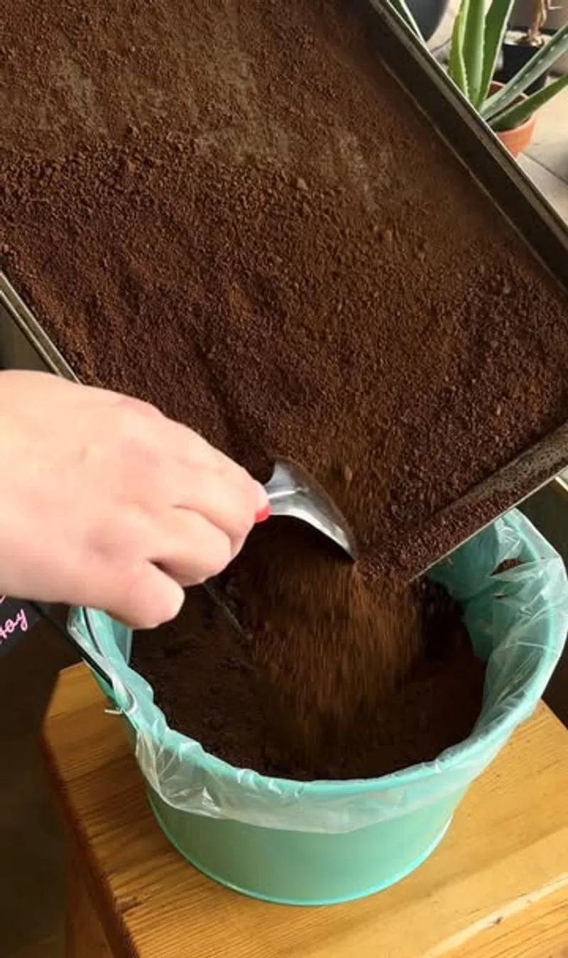 Use Coffee Grounds