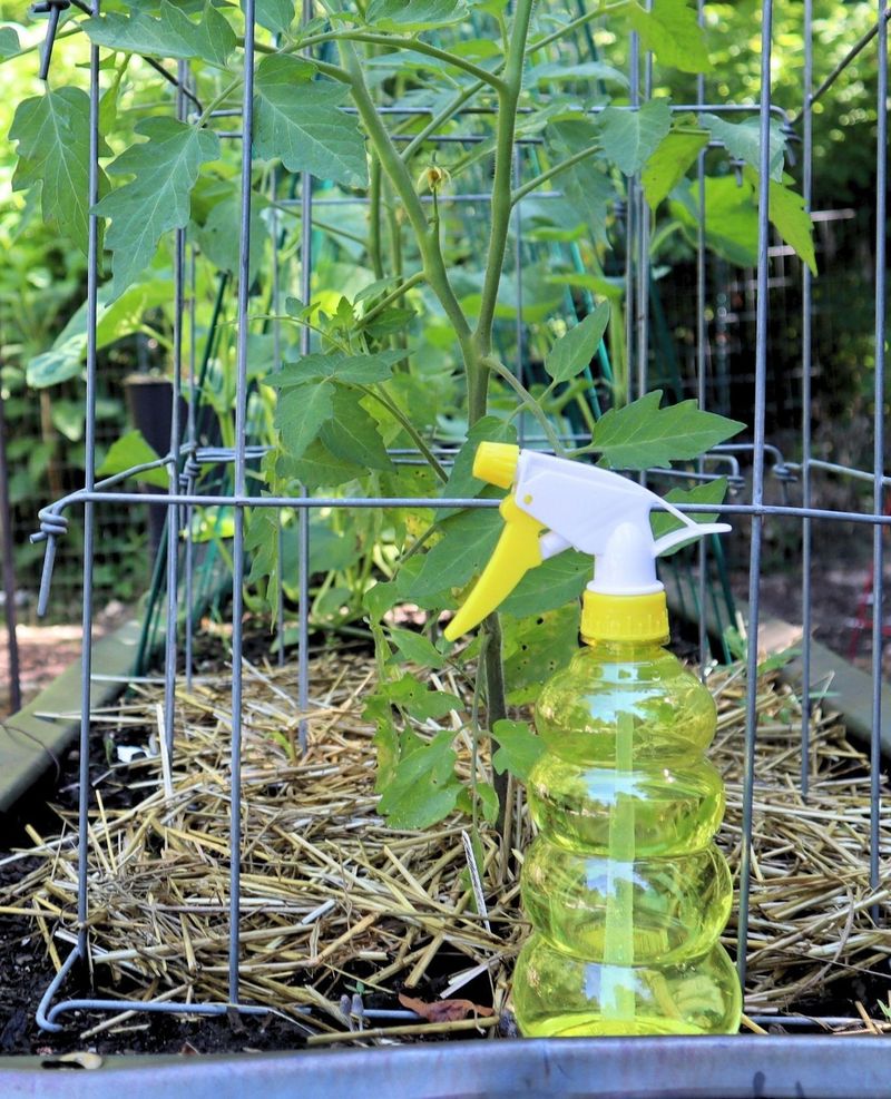 Use Only Chemical Pest Control