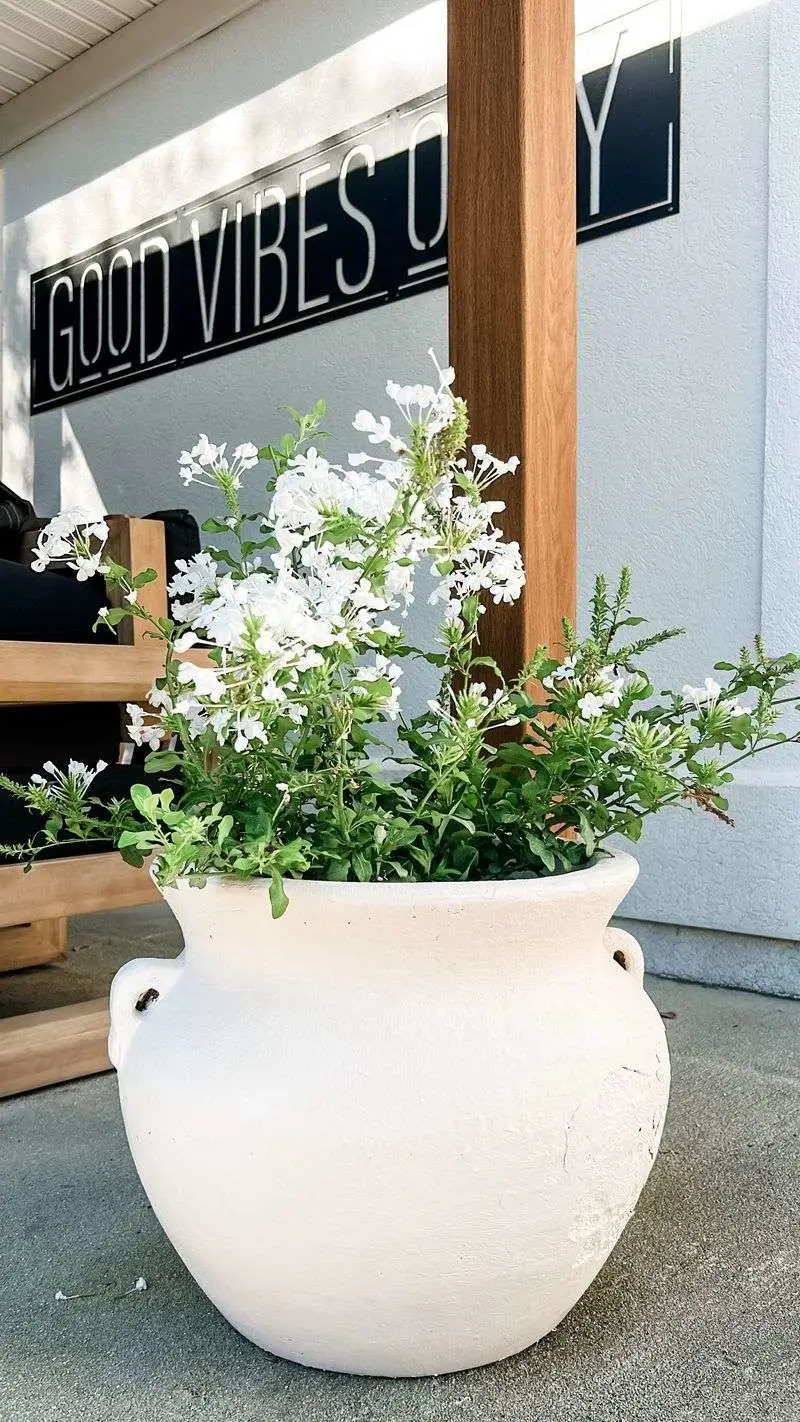 Use White Paint on Pots