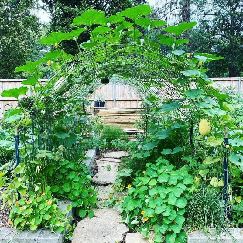 Use of Arches