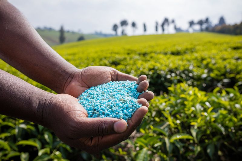 Using Chemical Fertilizers Excessively