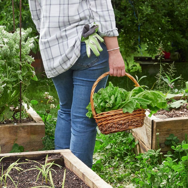 Using Chemical Fertilizers Excessively