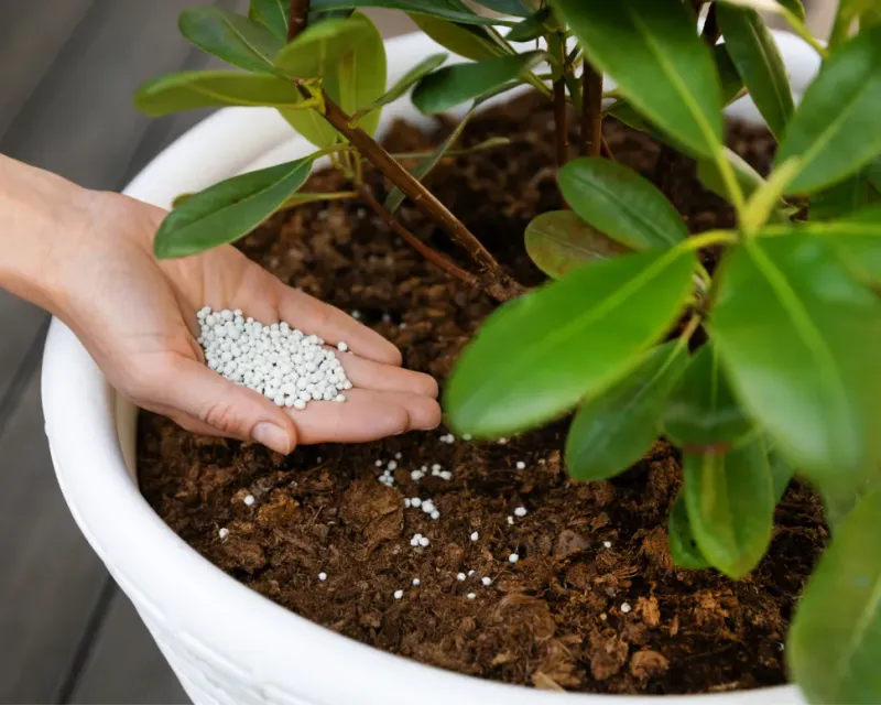 Using Chemical Fertilizers