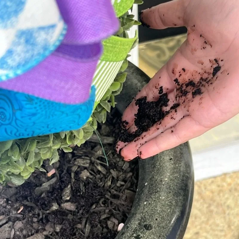 Using Coffee Grounds as Fertilizer