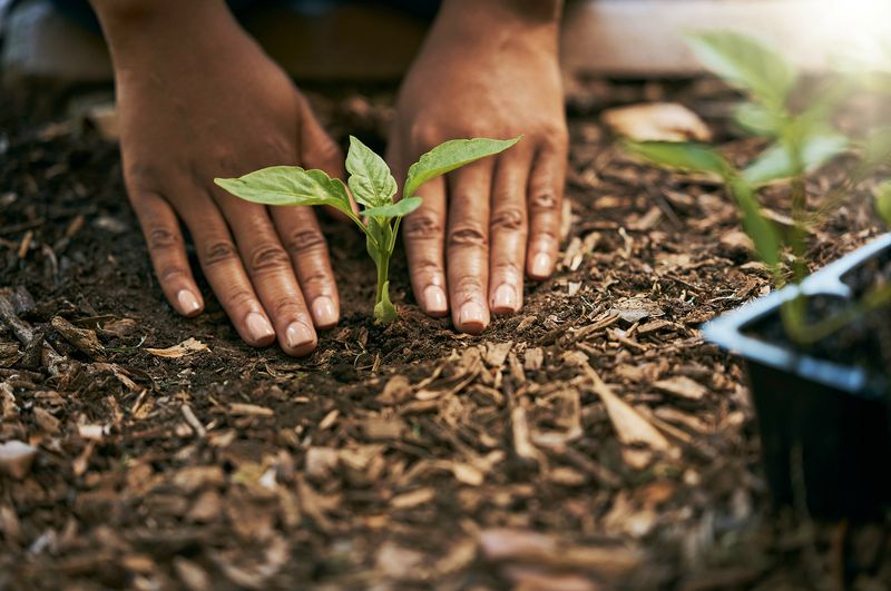 Using Harsh Chemicals