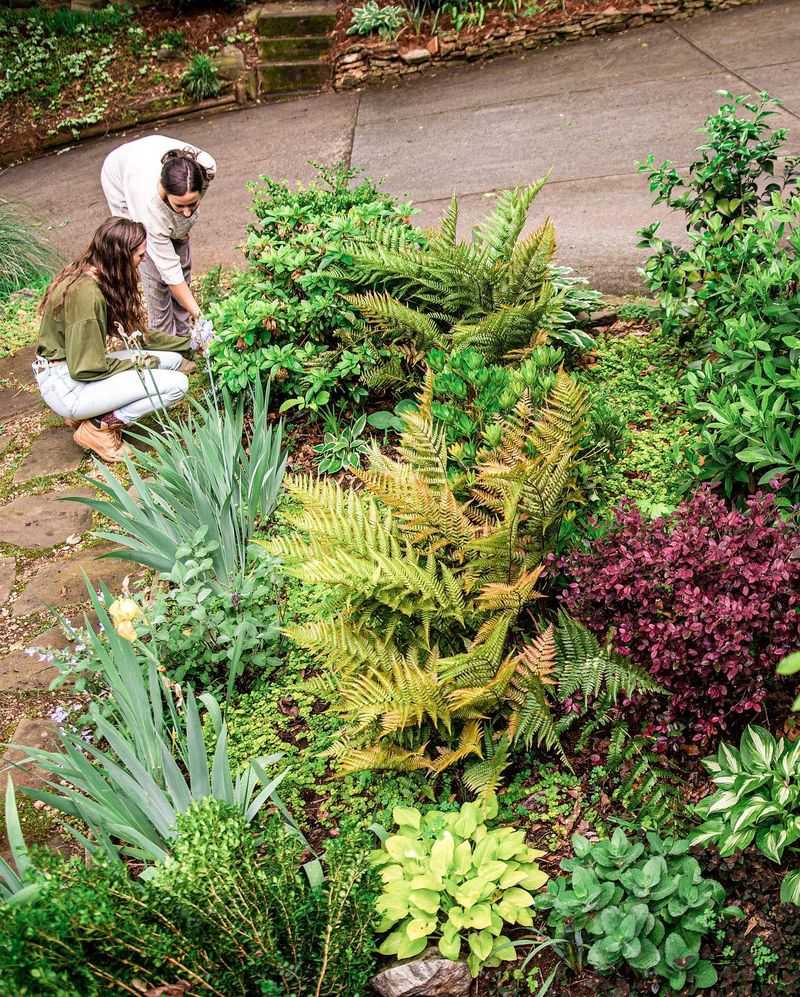 Using Non-Native Species