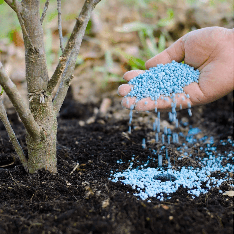Timing Your Fertilization