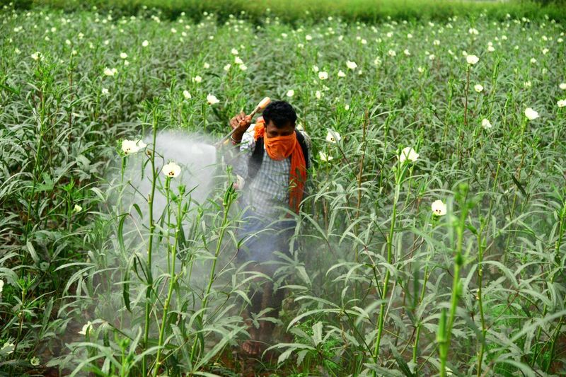 Using Pesticides Indiscriminately